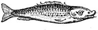 EAC027N.JPG