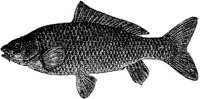 EAC027KK.JPG