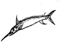 EAC027I.JPG