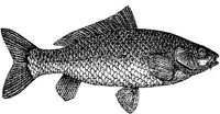 EAC027HH.JPG