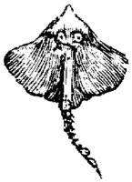EAC027GG.JPG