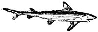 EAC027G.JPG