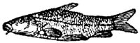 EAC027F.JPG