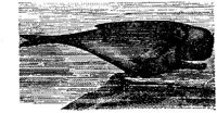 EAC027EE.JPG