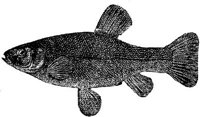 EAC027DD.JPG