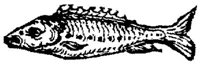 EAC027D.JPG