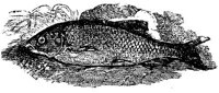 EAC027BB.JPG