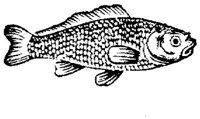EAC027B.JPG