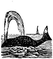 EAC027AA.JPG