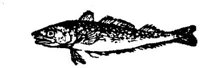 EAC027A.JPG
