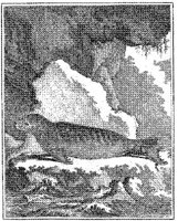 ANI124A.JPG