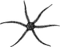 AMB274E.JPG