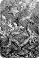 AMB274C.JPG