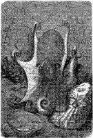 AMB269F.JPG
