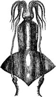 AMB269D.JPG