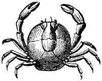 AMB266C.JPG