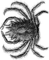 AMB266B.JPG