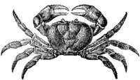 AMB265E.JPG