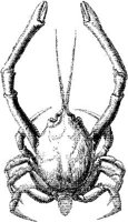 AMB263A.JPG