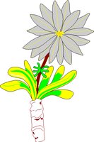 BITTROOT.WMF