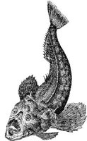 AMB227C.JPG