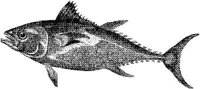 AMB218E.JPG