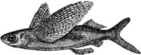 AMB218C.JPG