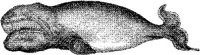 AMB046C.JPG