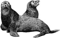 AMB044D.JPG
