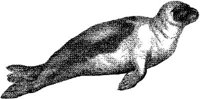 AMB044B.JPG