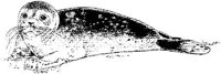 AIL017C.JPG