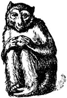 SIT085L.JPG