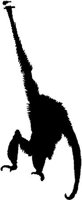 MSL092C.JPG