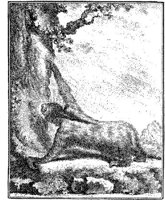 ANI043A.JPG