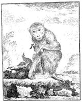 ANI034A.JPG
