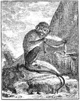 ANI028A.JPG