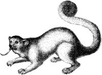 AMB008E.JPG
