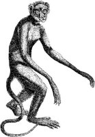 AMB007E.JPG