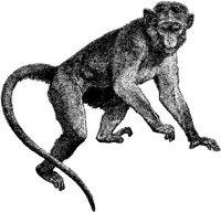 AMB006E.JPG