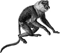 AMB003D.JPG