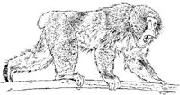 AIL016E.JPG