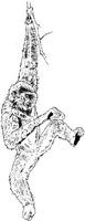 AIL014A.JPG
