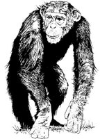 AIL013A.JPG