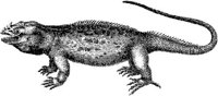 TAN058C.JPG