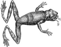 TAN053B.JPG