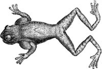 TAN053A.JPG
