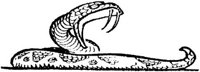 LAC003I.JPG