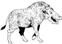 DPM030A.JPG