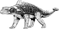 DPM028A.JPG