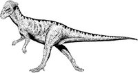 DPM025A.JPG